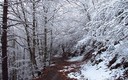 Valle de estos