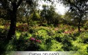 Sierra de alor - San jorge de alor
