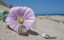 Playa de Xeraco