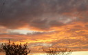 ...........ESPECTÁCULO  AL  AMANECER.