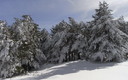 Paseo invernal