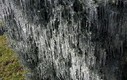 Hielo en Aracena