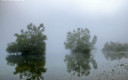Niebla en el pantano Ullibarri Gamboa
