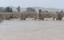 RIO GUADALQUIVIR 24/02/2010 12:00