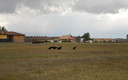 Buitres y tormentas