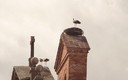 Alcalá de Henares