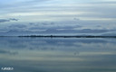 Reflejo