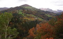 CON EL OTOÑO