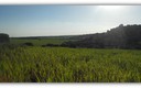 PRIMAVERA EN LA FRESNEDA. OTONES DE BENJUMMEA.