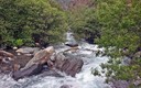 Vereda de la Estrella