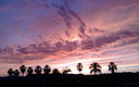La luz violeta del ocaso