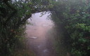 NIEBLA EN EL TORCAL DE ANTEQUERA