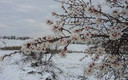 Primavera dentro del otoño