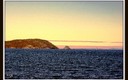 La isla de Ons (III)