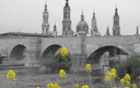 Primavera en mi ciudad