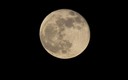 Luna llena y cielos