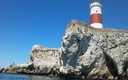 Un dia de paseo por el estrecho de Gibraltar