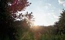 Atardecer en Los Aneales