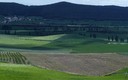 Paseo por el campo II