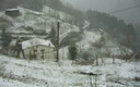 barrietas