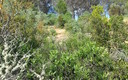 Paseo por Ronda
