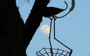 La luna en estepa