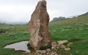 Piedra jincá, y narcisos en Sejos