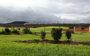 Campos de Cólliga.