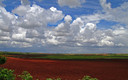 Llanuras manchegas