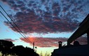 cielo