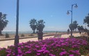DIA SOLEADO XILXES