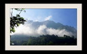 Día de niebla y sol