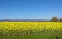 Valle de las Caderechas (Burgos)