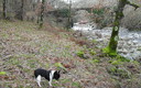 De paseo.