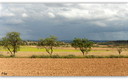 Nubes de tormenta